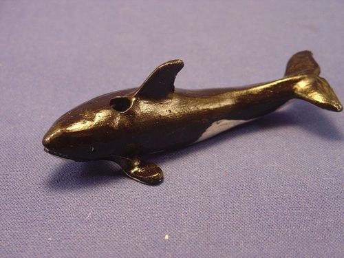 Killer Whale, Young Adult (E)